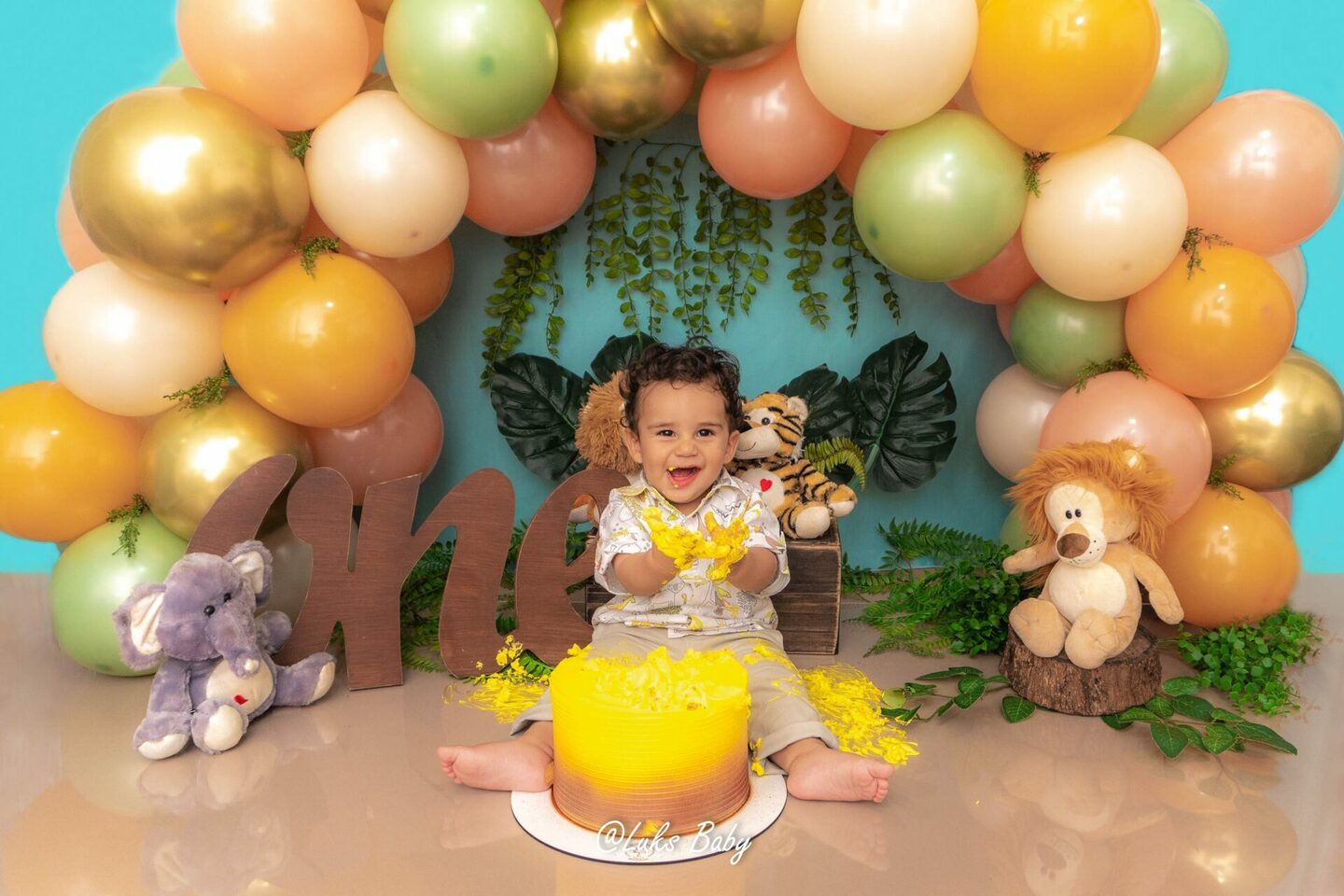 Smash The Cake Smash The Cake